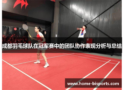 成都羽毛球队在冠军赛中的团队协作表现分析与总结